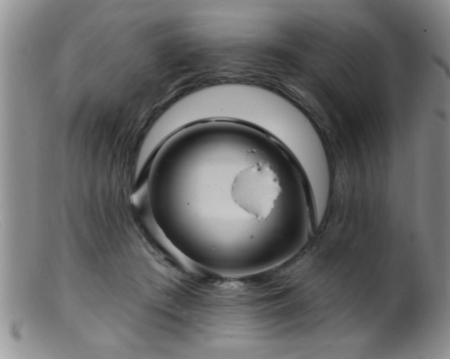 X0000099450409200805161027