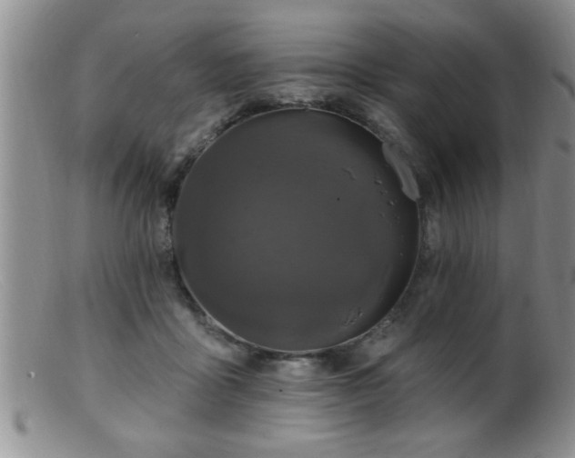 X0000099450411200805161027