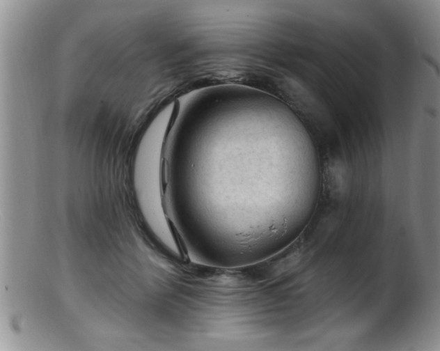 X0000099450412200805161027