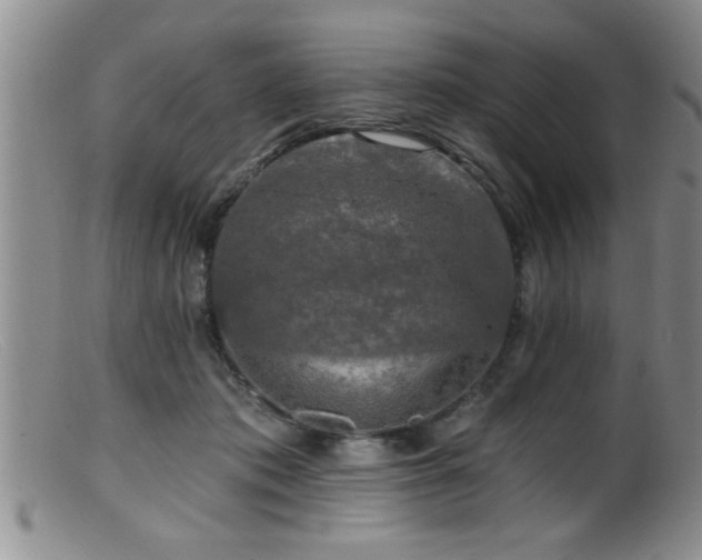 X0000099450413200805161027