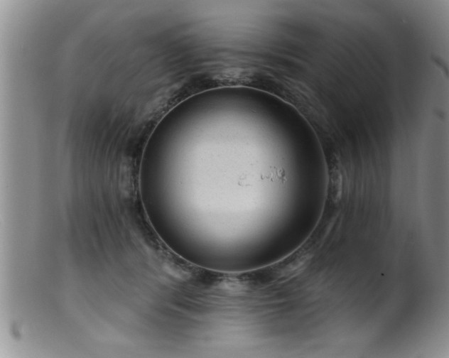 X0000099450416200805161027