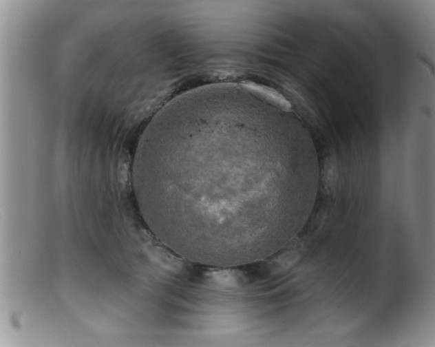 X0000099450417200805161027