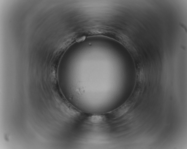 X0000099450418200805161027