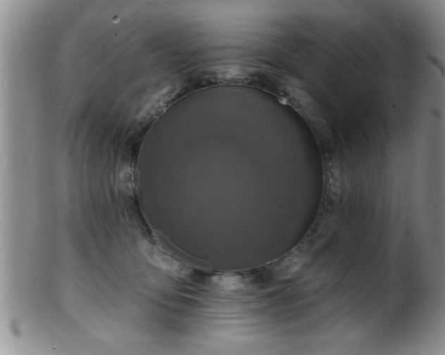 X0000099450419200805161027