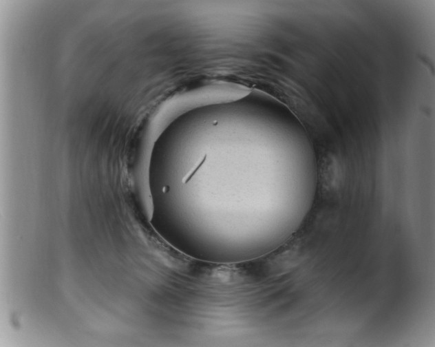 X0000099450420200805161027