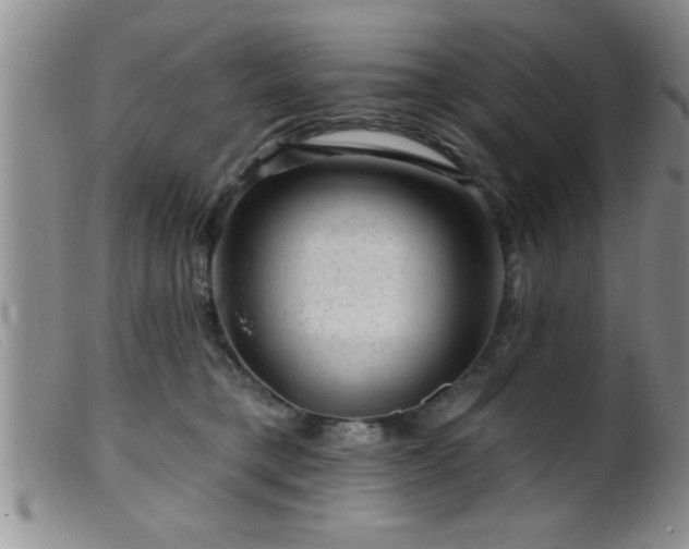 X0000099450421200805161027