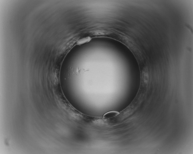 X0000099450422200805161027