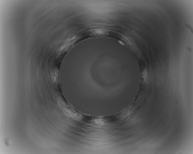 X0000099450423200805161027