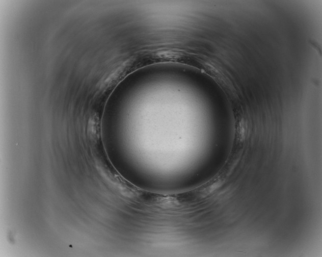 X0000099450424200805161027