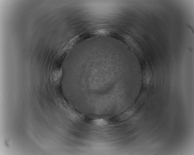 X0000099450425200805161027