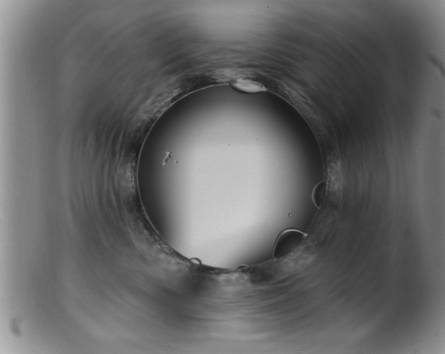 X0000099450426200805161027