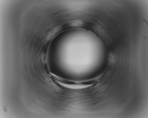 X0000099450428200805161027