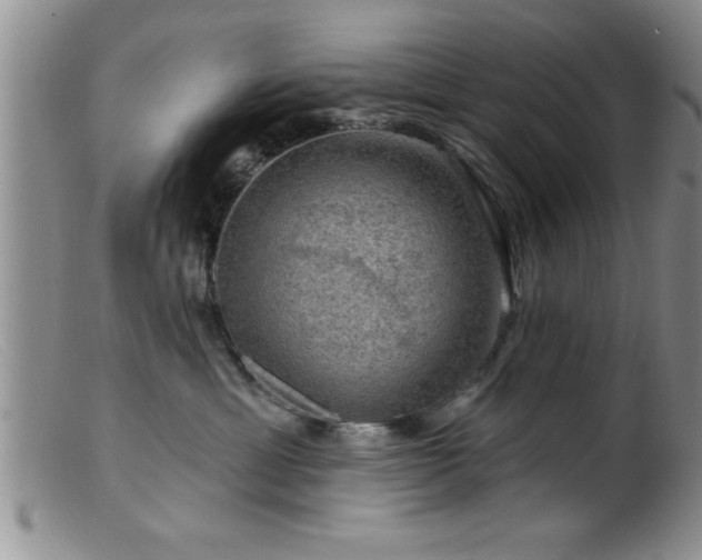 X0000099450429200805161027