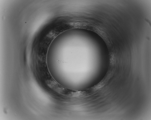 X0000099450430200805161027