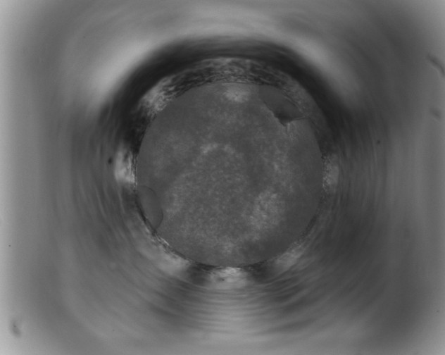 X0000099450431200805161027