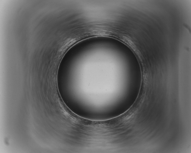 X0000099450433200805161026