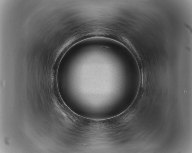 X0000099450435200805161026