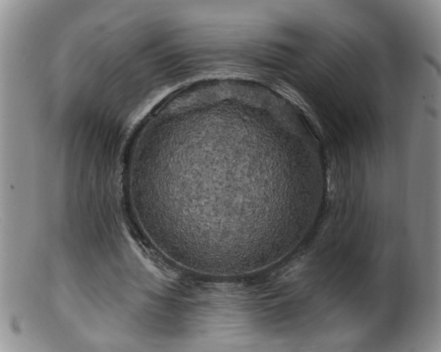 X0000099450436200805161026