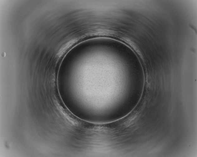 X0000099450437200805161026