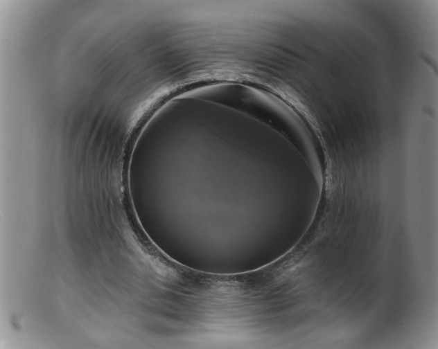 X0000099450438200805161026