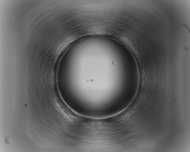 X0000099450439200805161026