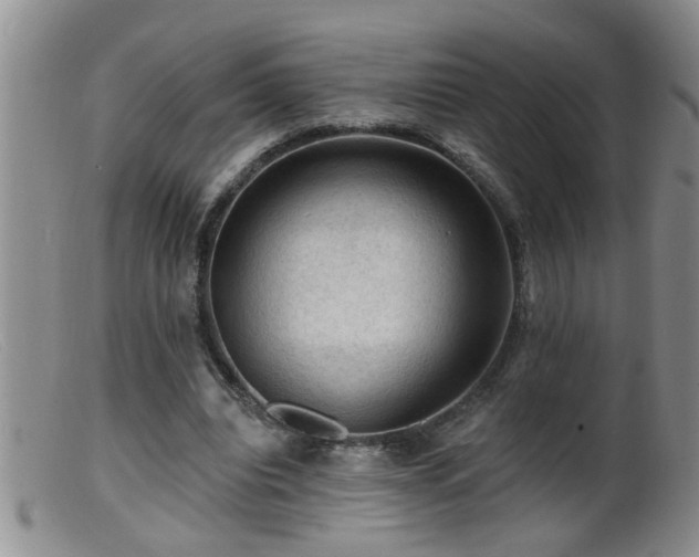 X0000099450440200805161026