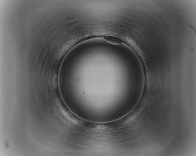 X0000099450441200805161026