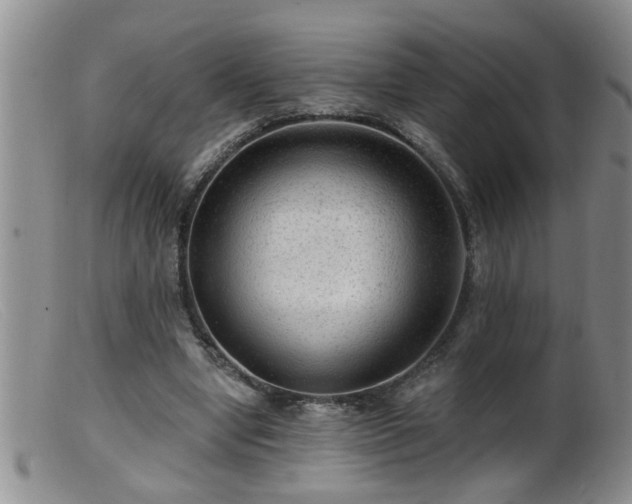 X0000099450442200805161026