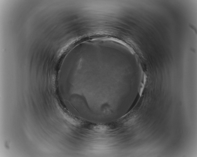 X0000099450444200805161026