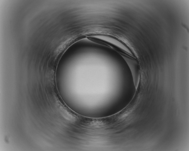 X0000099450445200805161026