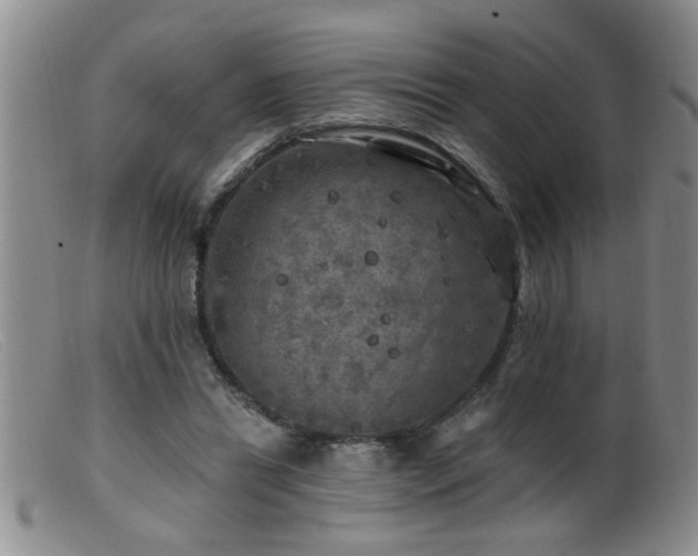 X0000099450446200805161026