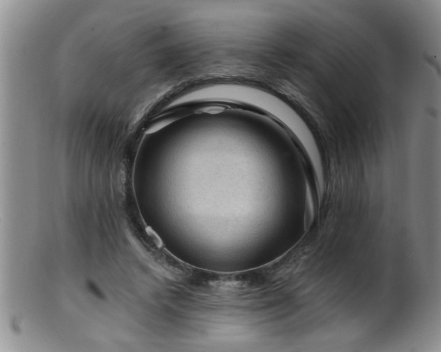 X0000099450448200805161026