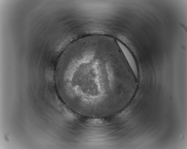 X0000099450449200805161026