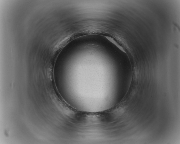 X0000099450450200805161026