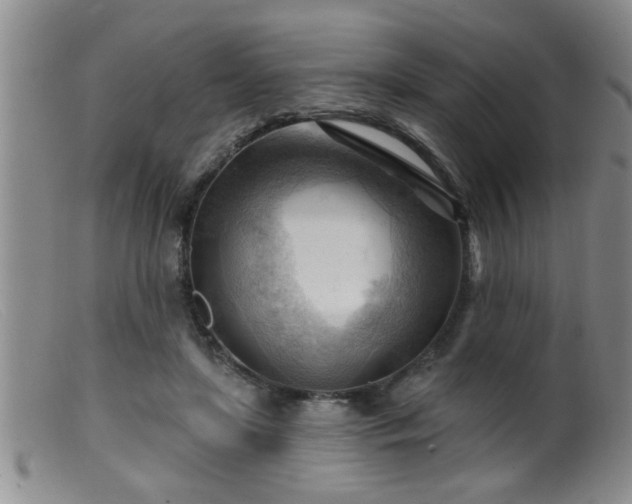 X0000099450451200805161026