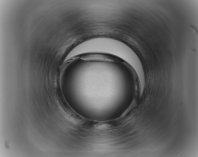 X0000099450452200805161026