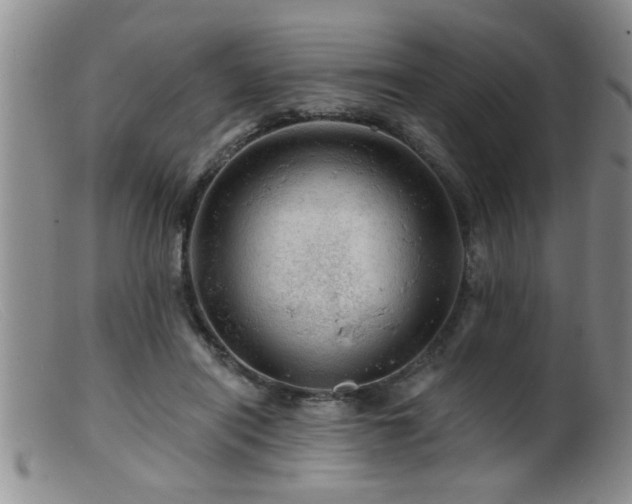 X0000099450454200805161026