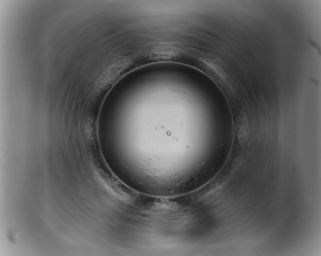 X0000099450455200805161026