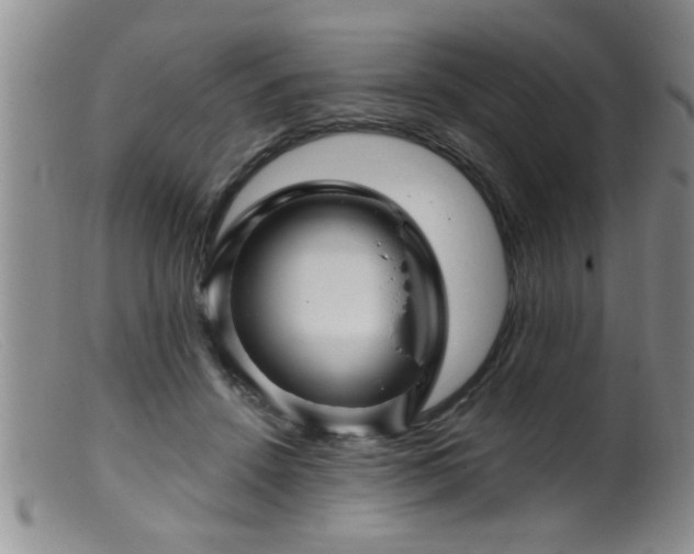 X0000099450456200805161026