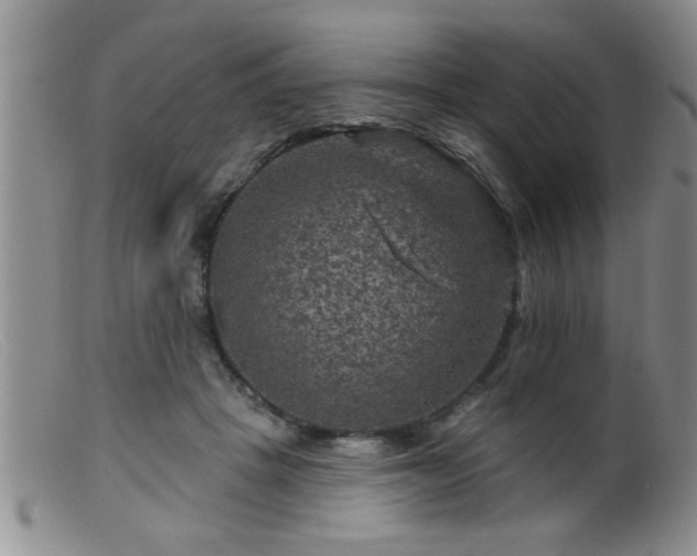 X0000099450457200805161026