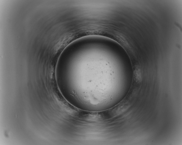 X0000099450458200805161026