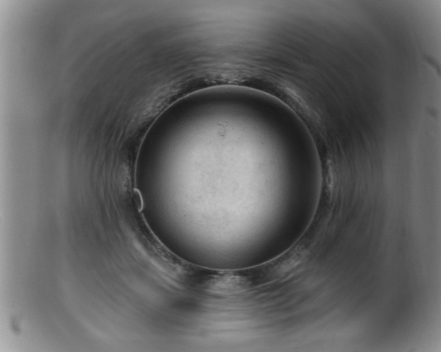 X0000099450459200805161026