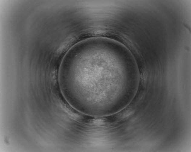 X0000099450462200805161026