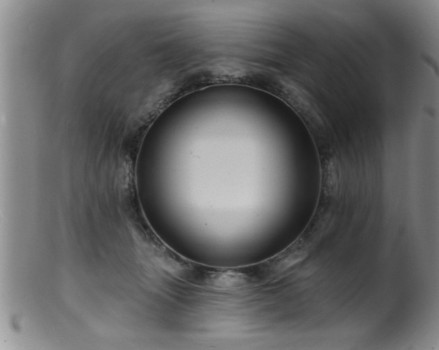 X0000099450463200805161026