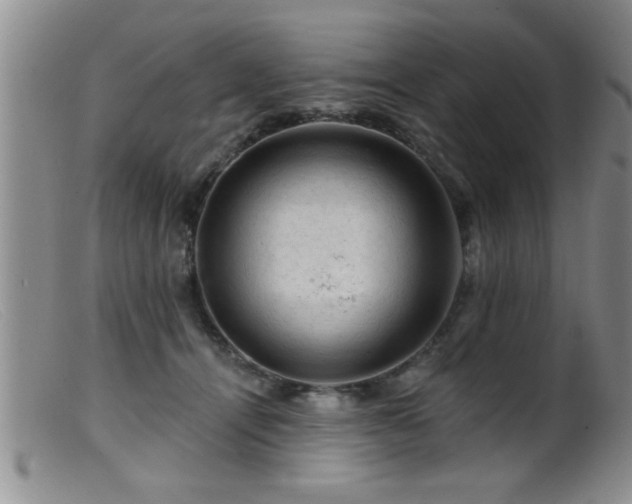 X0000099450464200805161026