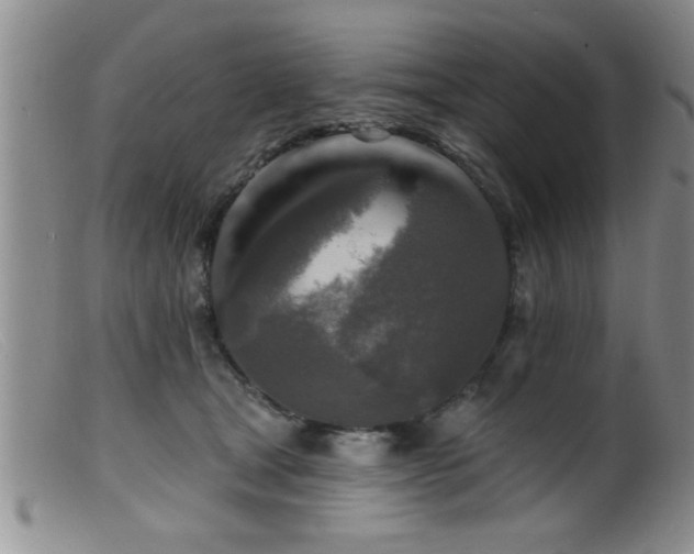 X0000099450465200805161026