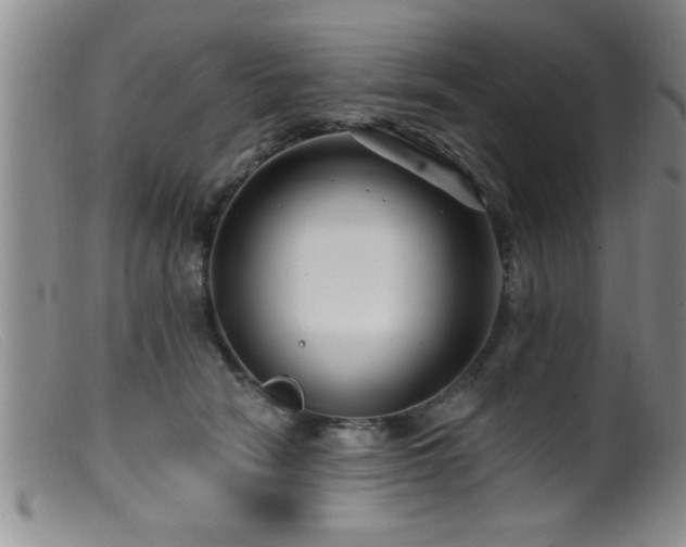 X0000099450466200805161026