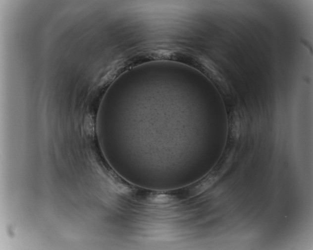 X0000099450467200805161026