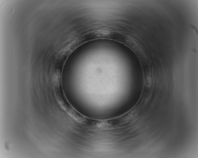 X0000099450468200805161026