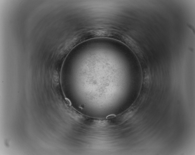 X0000099450469200805161026